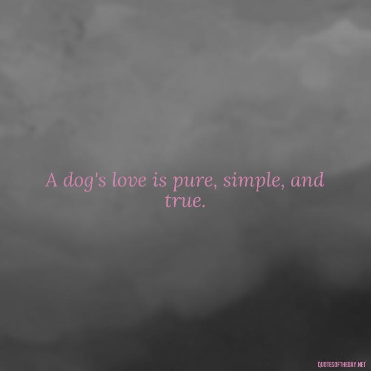 A dog's love is pure, simple, and true. - A Dogs Love Quote