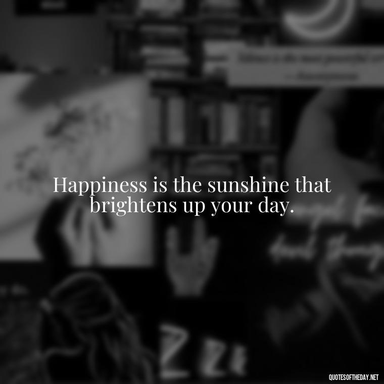 Happiness is the sunshine that brightens up your day. - Happy Cute Short Quotes