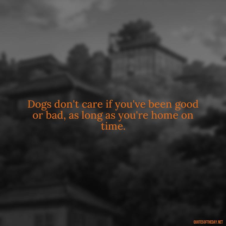 Dogs don't care if you've been good or bad, as long as you're home on time. - Quotes About Pets Unconditional Love