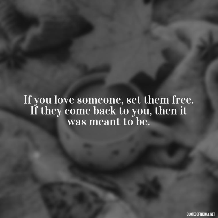 If you love someone, set them free. If they come back to you, then it was meant to be. - I Wish You Loved Me Quotes