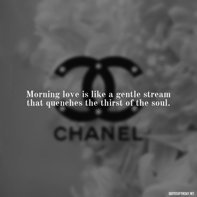 Morning love is like a gentle stream that quenches the thirst of the soul. - Quotes About Love In The Morning