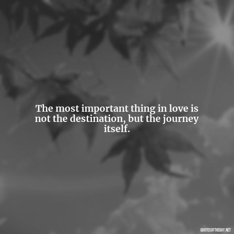 The most important thing in love is not the destination, but the journey itself. - Quotes About Love Chemistry