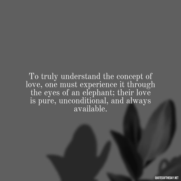 To truly understand the concept of love, one must experience it through the eyes of an elephant; their love is pure, unconditional, and always available. - Elephant Love Quotes