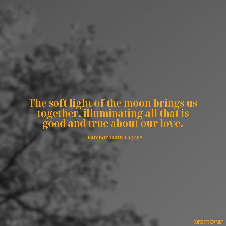 The soft light of the moon brings us together, illuminating all that is good and true about our love. - Love Moonlight Quotes