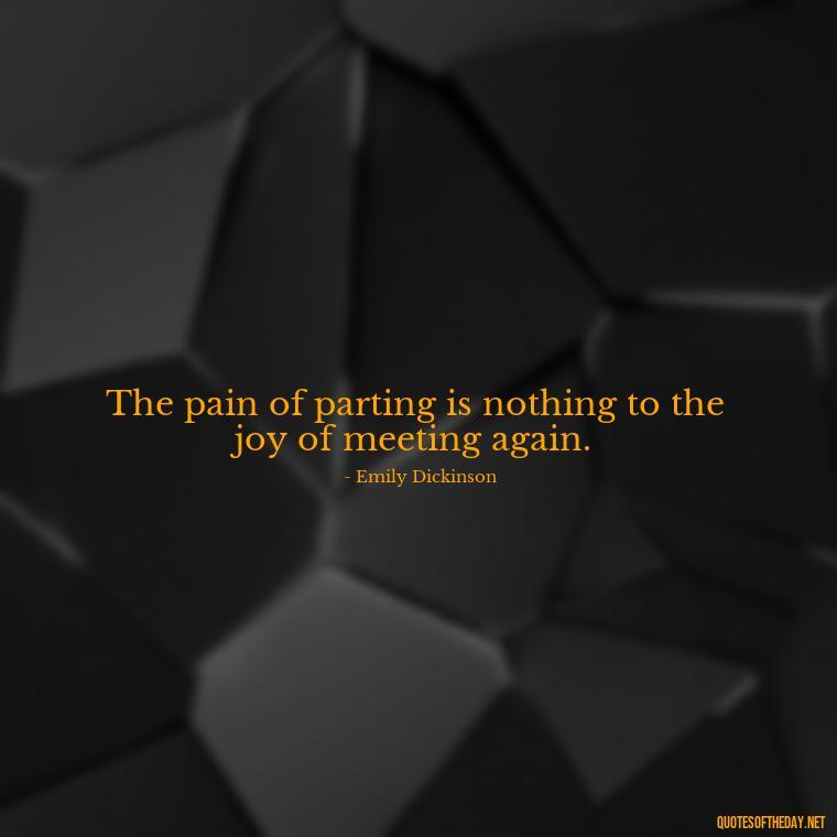 The pain of parting is nothing to the joy of meeting again. - Quotes About Passed Loved Ones