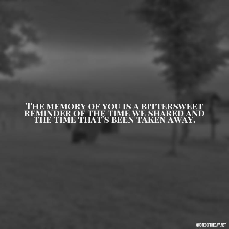 The memory of you is a bittersweet reminder of the time we shared and the time that's been taken away. - Quotes About Missing A Loved One Who Died