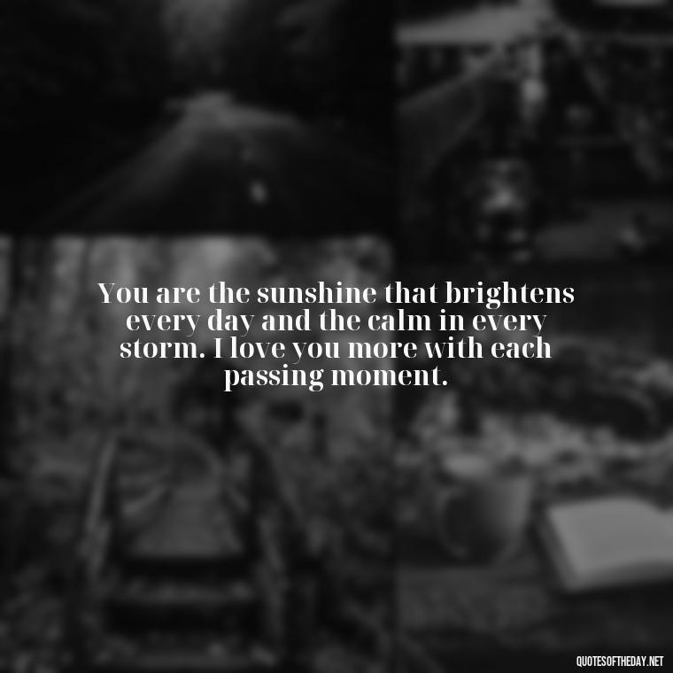 You are the sunshine that brightens every day and the calm in every storm. I love you more with each passing moment. - Do You Know How Much I Love You Quotes