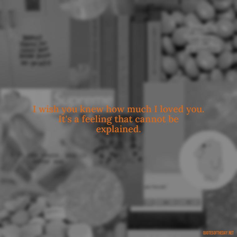 I wish you knew how much I loved you. It's a feeling that cannot be explained. - I Wished You Loved Me Quotes