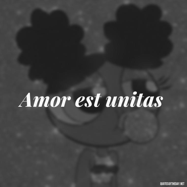 Amor est unitas - Quotes In Latin About Love