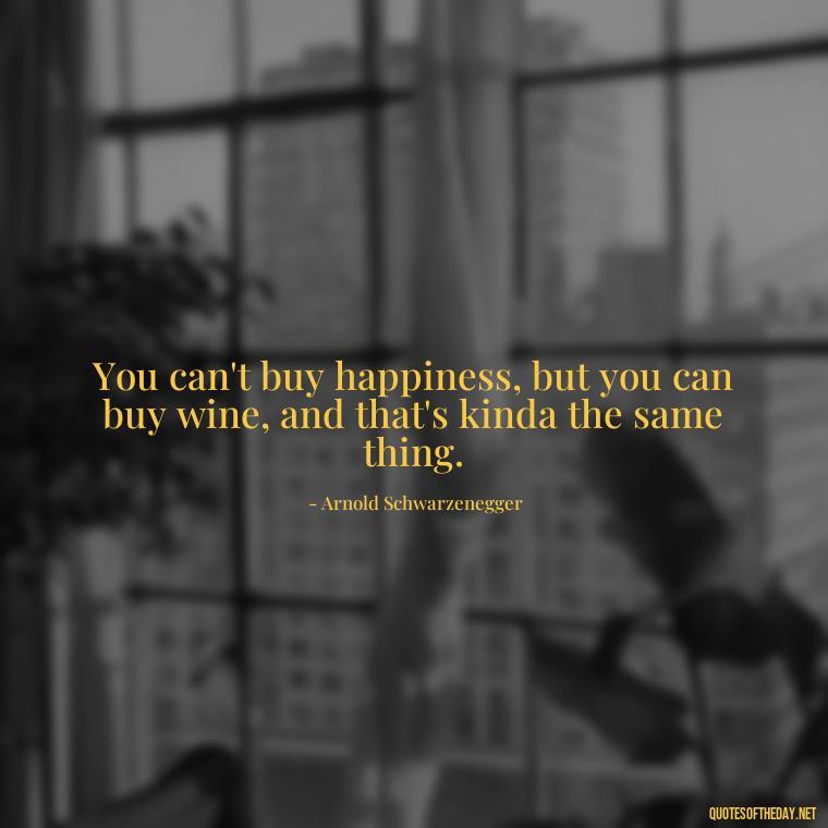 You can't buy happiness, but you can buy wine, and that's kinda the same thing. - Love And Single Quotes