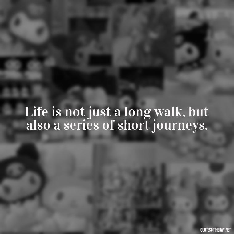 Life is not just a long walk, but also a series of short journeys. - Short Journey Quotes