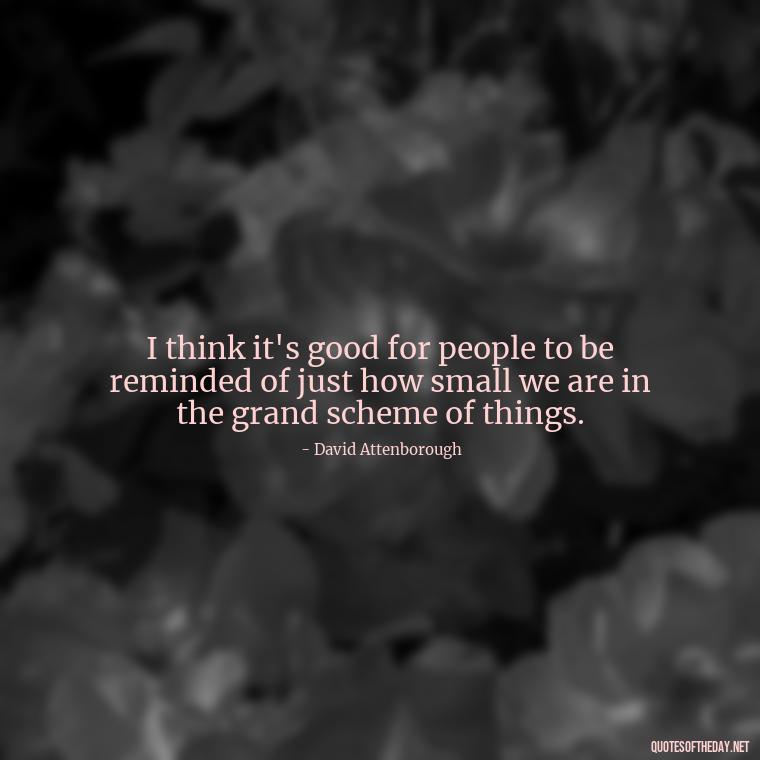 I think it's good for people to be reminded of just how small we are in the grand scheme of things. - Cute Ocean Quotes Short