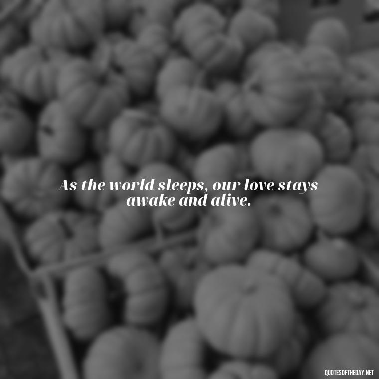 As the world sleeps, our love stays awake and alive. - Love Quotes For The Night