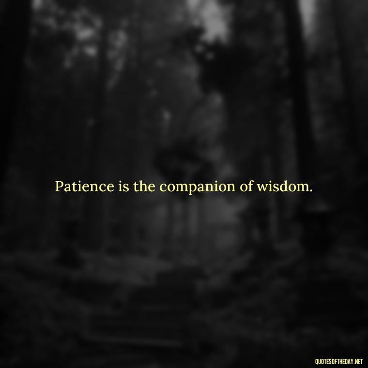 Patience is the companion of wisdom. - Patience Quotes About Love