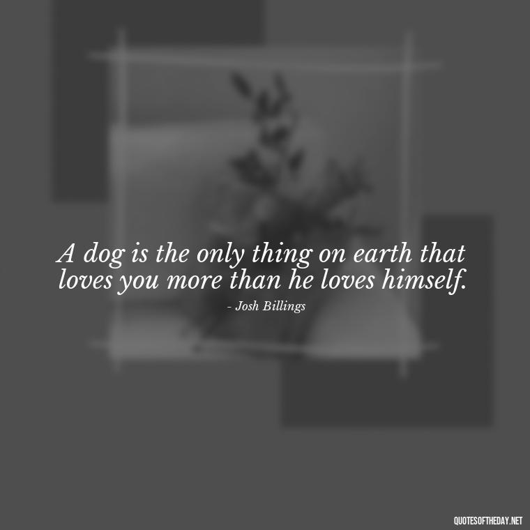 A dog is the only thing on earth that loves you more than he loves himself. - Quote About Dogs Love