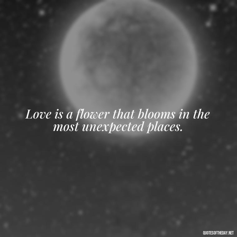 Love is a flower that blooms in the most unexpected places. - Love Quotes Little Prince