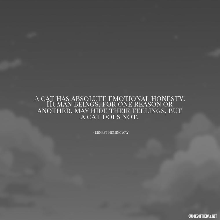 A cat has absolute emotional honesty. Human beings, for one reason or another, may hide their feelings, but a cat does not. - Quotes About Pets Unconditional Love