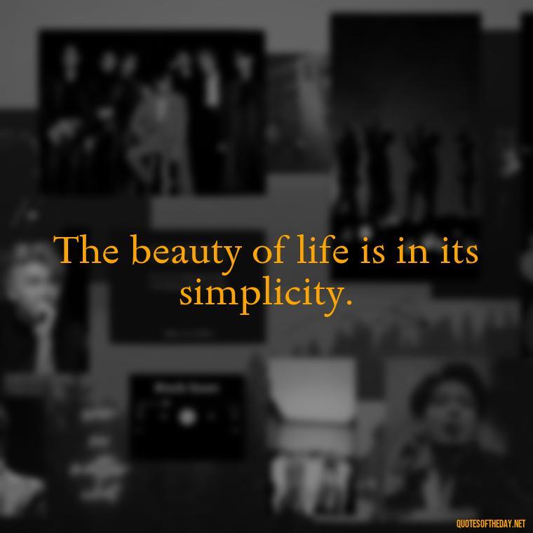 The beauty of life is in its simplicity. - Short Hippie Quotes