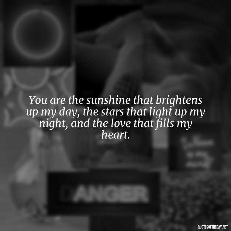 You are the sunshine that brightens up my day, the stars that light up my night, and the love that fills my heart. - I Love U More Than Words Can Say Quotes