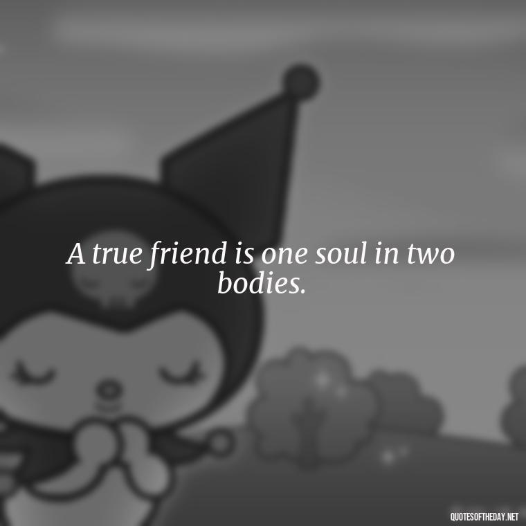 A true friend is one soul in two bodies. - Love Quotes And Friendship Quotes