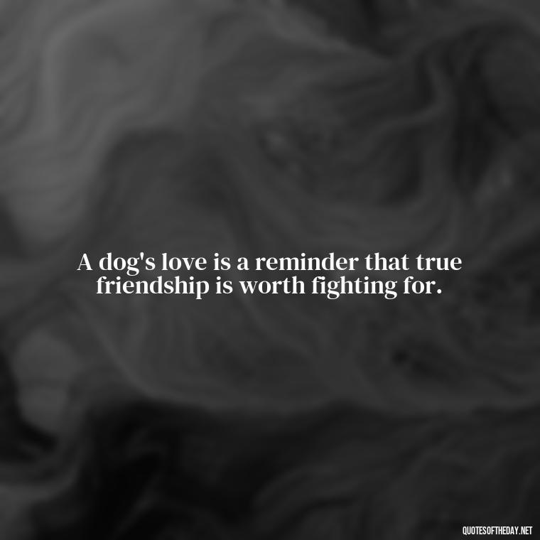 A dog's love is a reminder that true friendship is worth fighting for. - Dogs Love Unconditionally Quotes