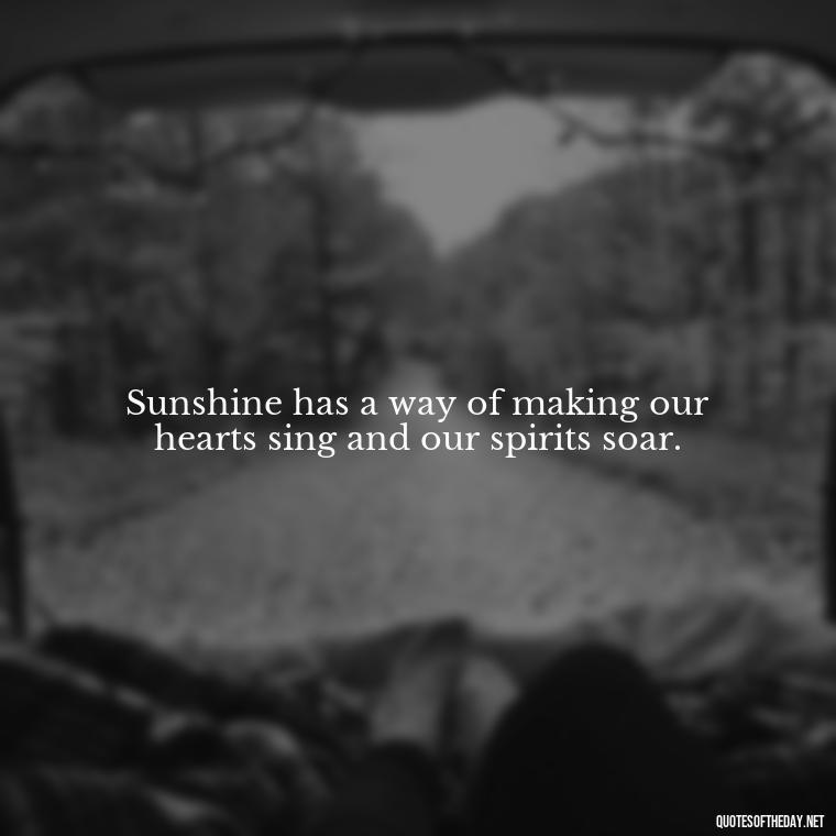 Sunshine has a way of making our hearts sing and our spirits soar. - Love The Sunshine Quotes