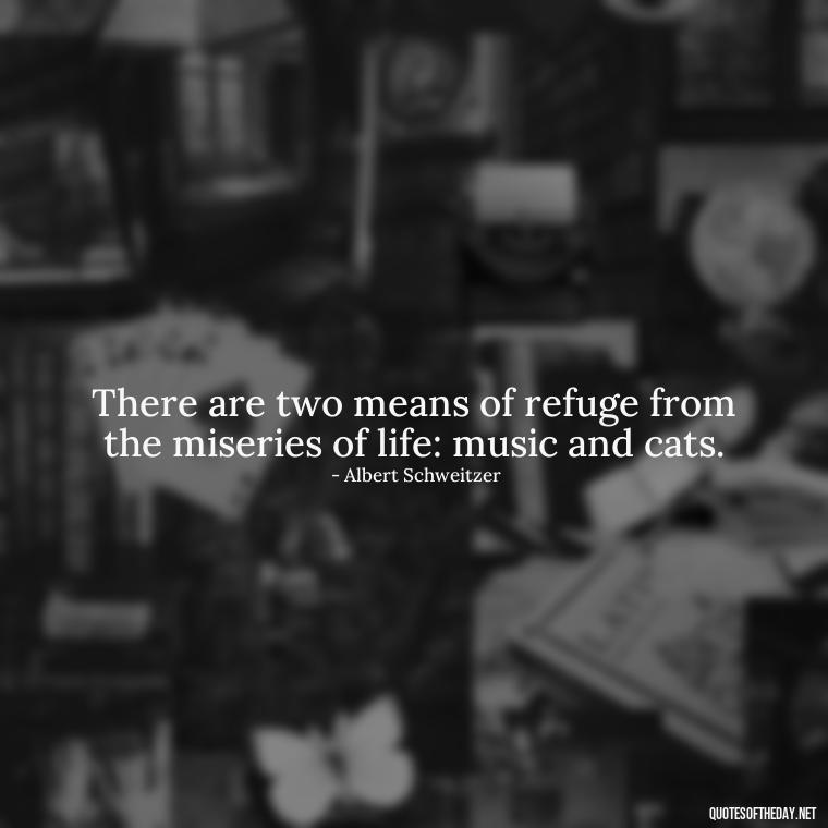 There are two means of refuge from the miseries of life: music and cats. - Short Deep Music Quotes