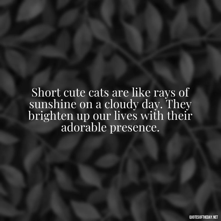 Short cute cats are like rays of sunshine on a cloudy day. They brighten up our lives with their adorable presence. - Short Cute Cat Quotes