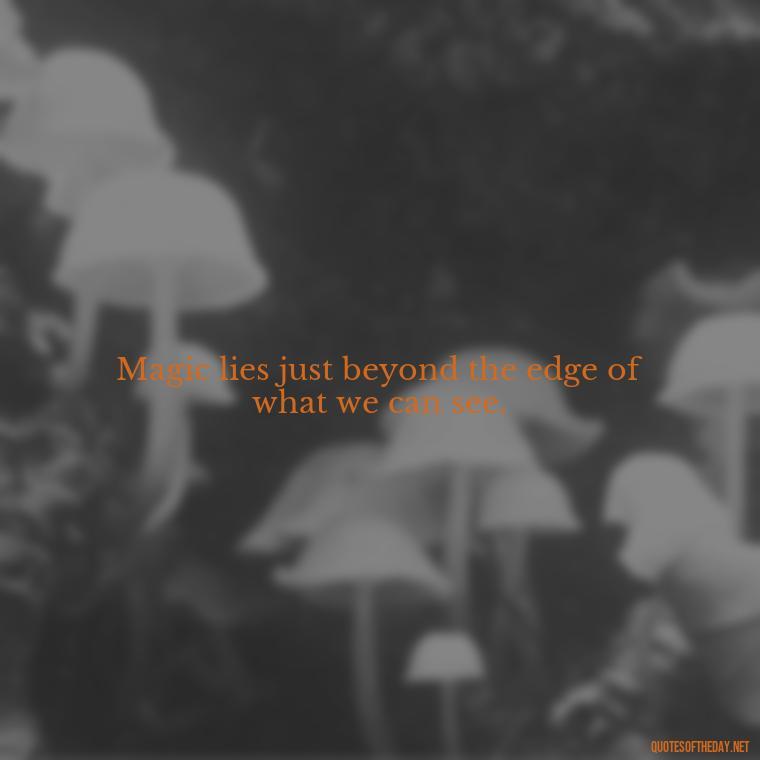 Magic lies just beyond the edge of what we can see. - Short Magic Quotes