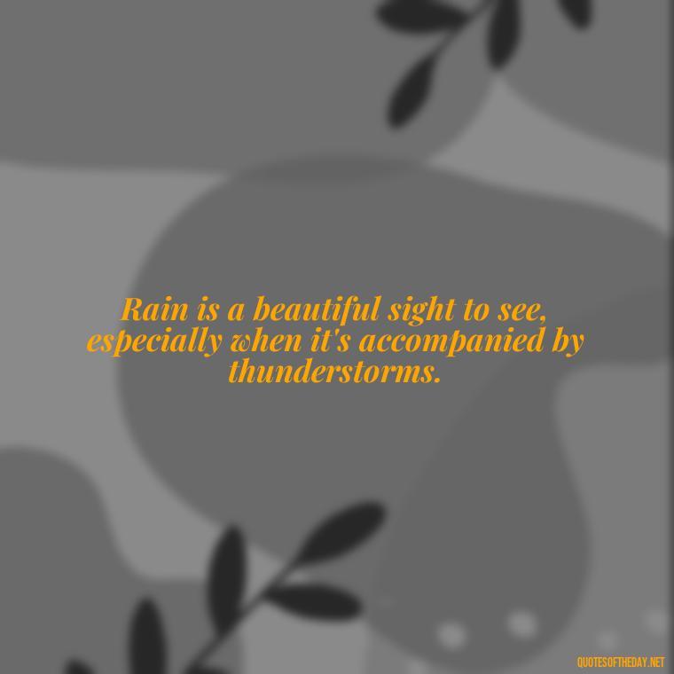 Rain is a beautiful sight to see, especially when it's accompanied by thunderstorms. - Rain Short Quotes