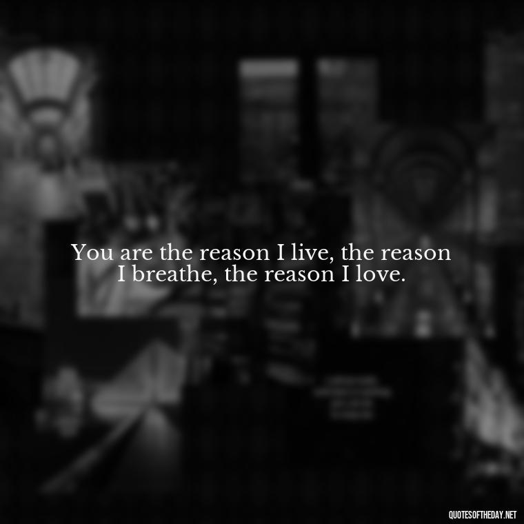 You are the reason I live, the reason I breathe, the reason I love. - Heart Touching Romantic I Love You More Than Anything Quotes