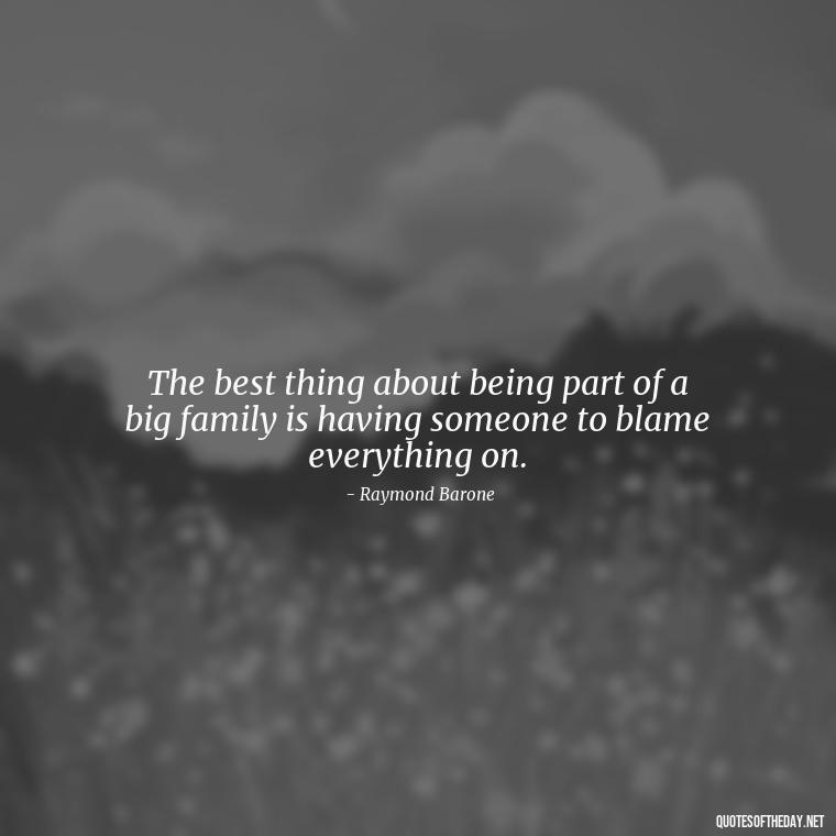 The best thing about being part of a big family is having someone to blame everything on. - Everybody Loves Raymond Quotes