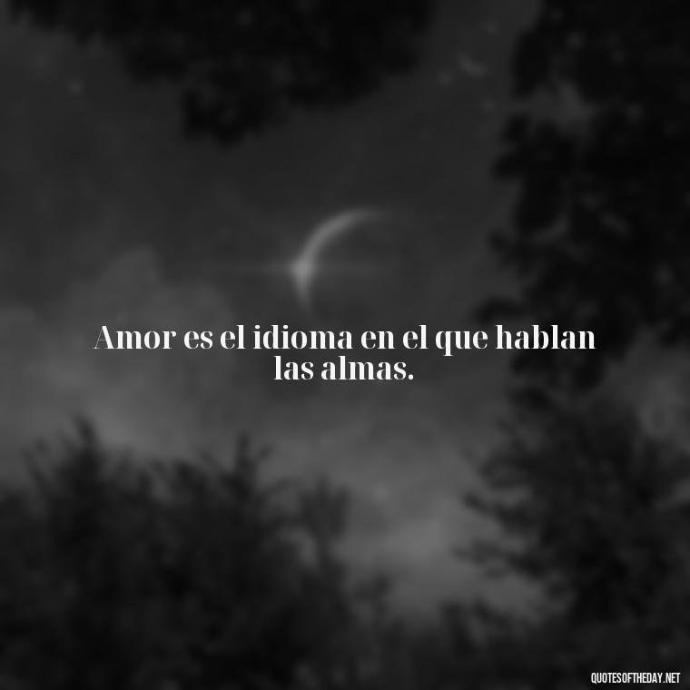 Amor es el idioma en el que hablan las almas. - Amor Love Quotes In Spanish