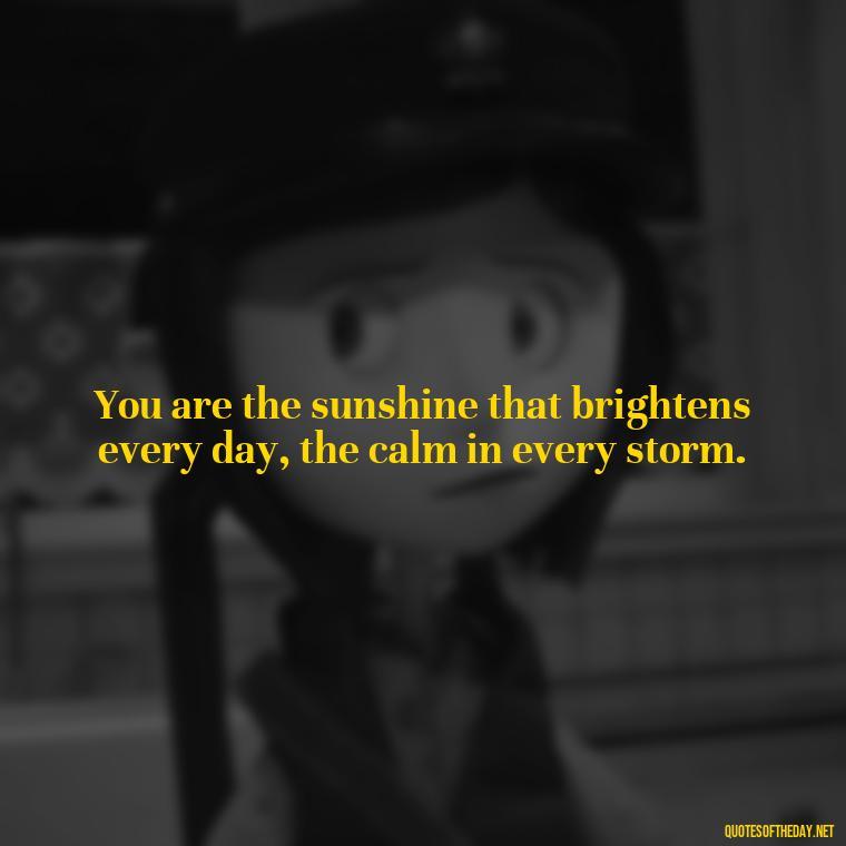 You are the sunshine that brightens every day, the calm in every storm. - English Love Quotes