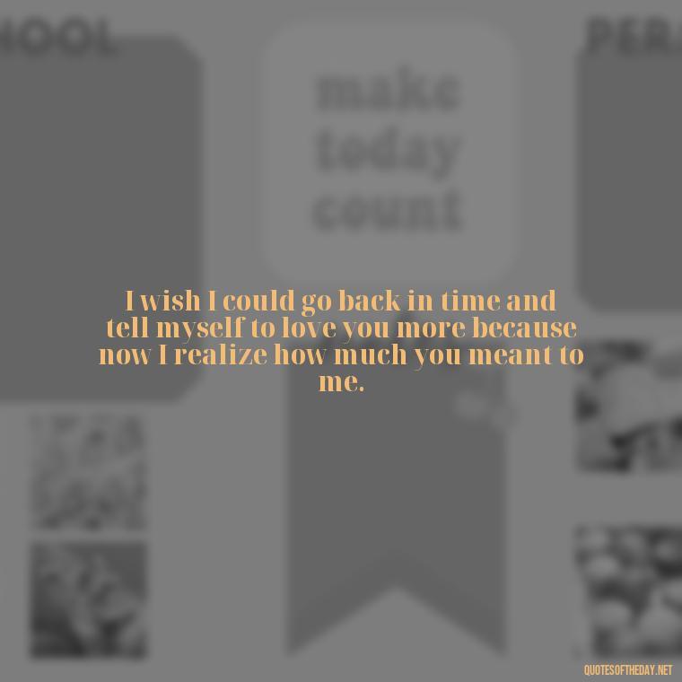 I wish I could go back in time and tell myself to love you more because now I realize how much you meant to me. - Miss U Love U Quotes