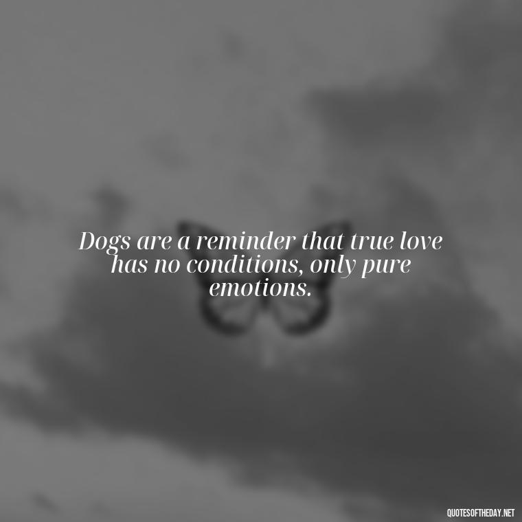 Dogs are a reminder that true love has no conditions, only pure emotions. - Dogs Love Unconditionally Quotes