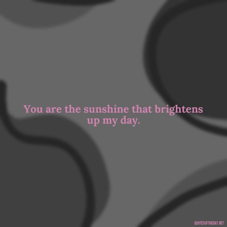 You are the sunshine that brightens up my day. - Short Beauty Quotes For Her