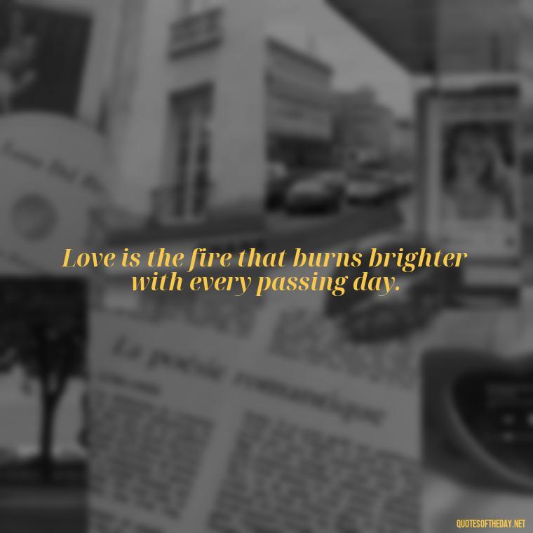 Love is the fire that burns brighter with every passing day. - Intense Quotes On Love