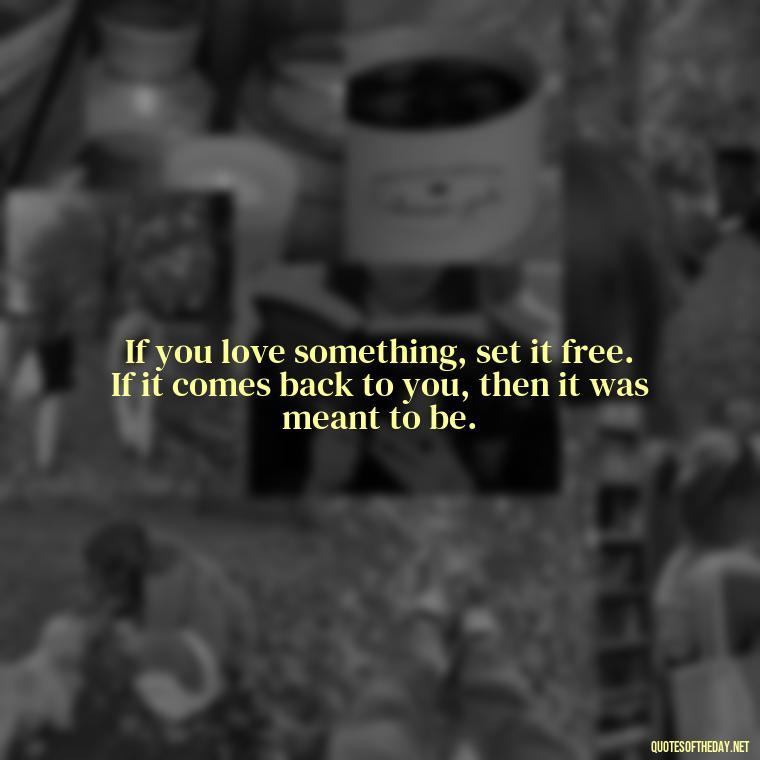 If you love something, set it free. If it comes back to you, then it was meant to be. - Believe Quotes About Love