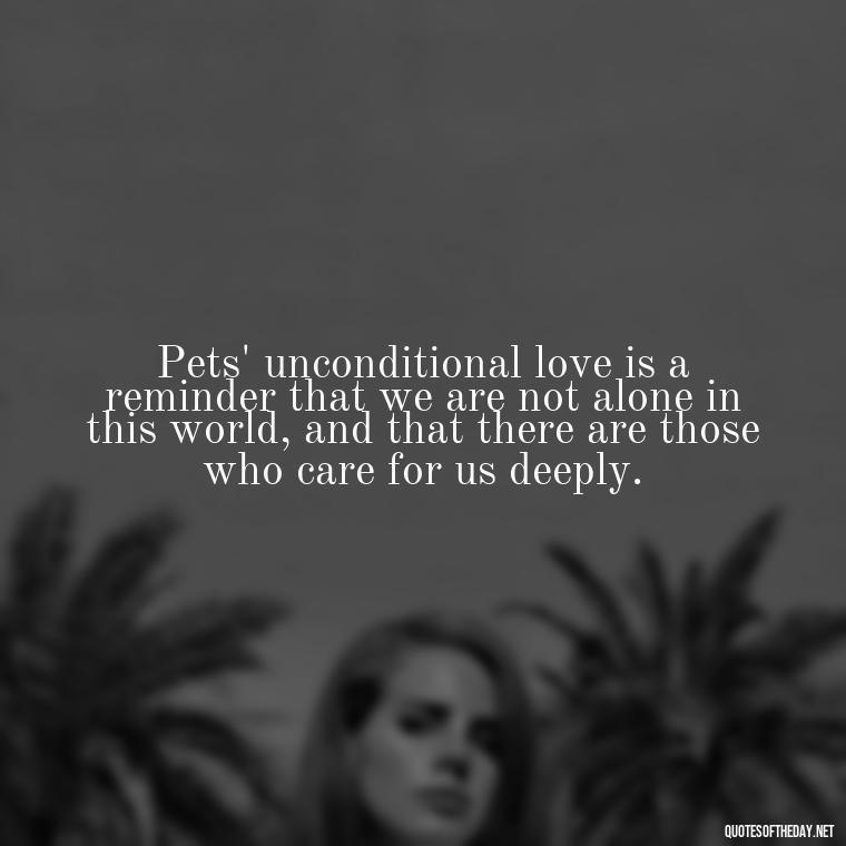 Pets' unconditional love is a reminder that we are not alone in this world, and that there are those who care for us deeply. - Quotes About Pets Unconditional Love