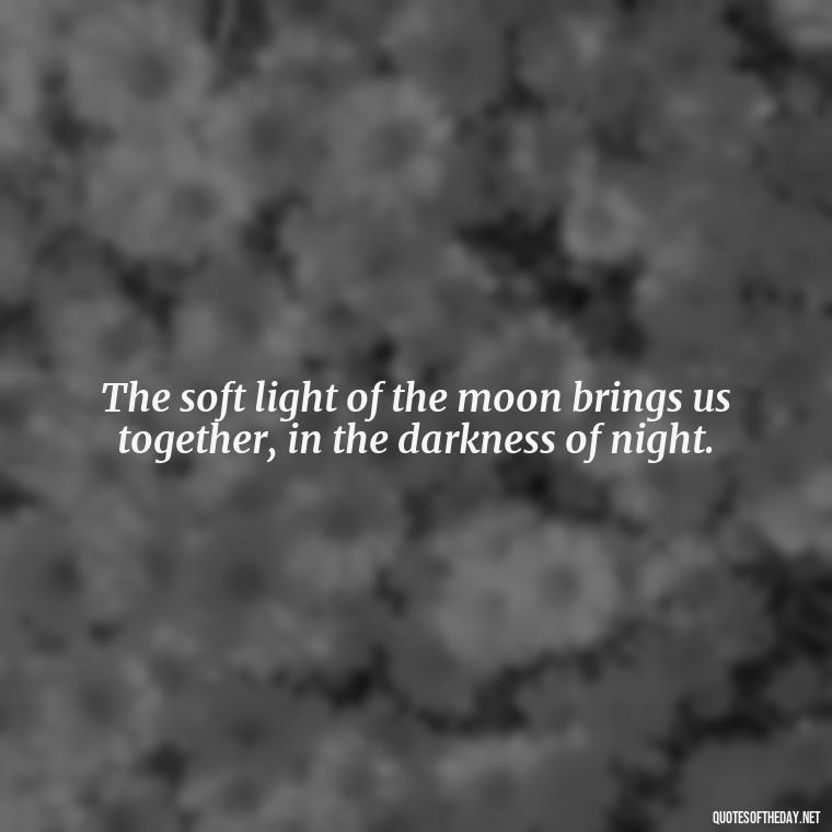 The soft light of the moon brings us together, in the darkness of night. - Love Moonlight Quotes