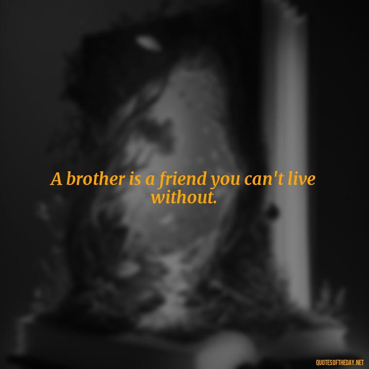 A brother is a friend you can't live without. - Quotes About Brothers Love