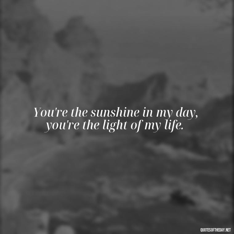 You're the sunshine in my day, you're the light of my life. - Short Quotes Songs