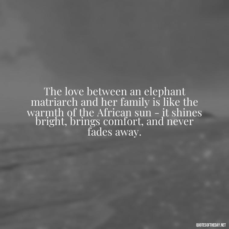 The love between an elephant matriarch and her family is like the warmth of the African sun - it shines bright, brings comfort, and never fades away. - Elephant Love Quotes