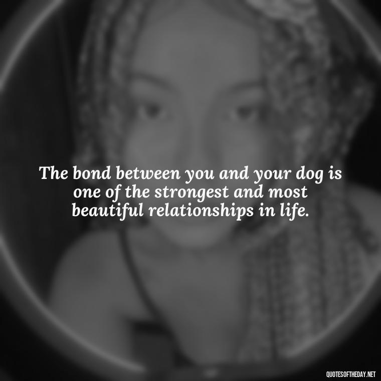 The bond between you and your dog is one of the strongest and most beautiful relationships in life. - Dog Love Quotes For Instagram