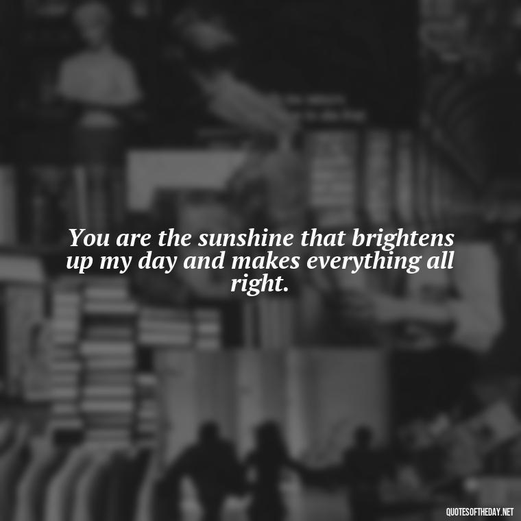 You are the sunshine that brightens up my day and makes everything all right. - Love Quotes Man To Woman