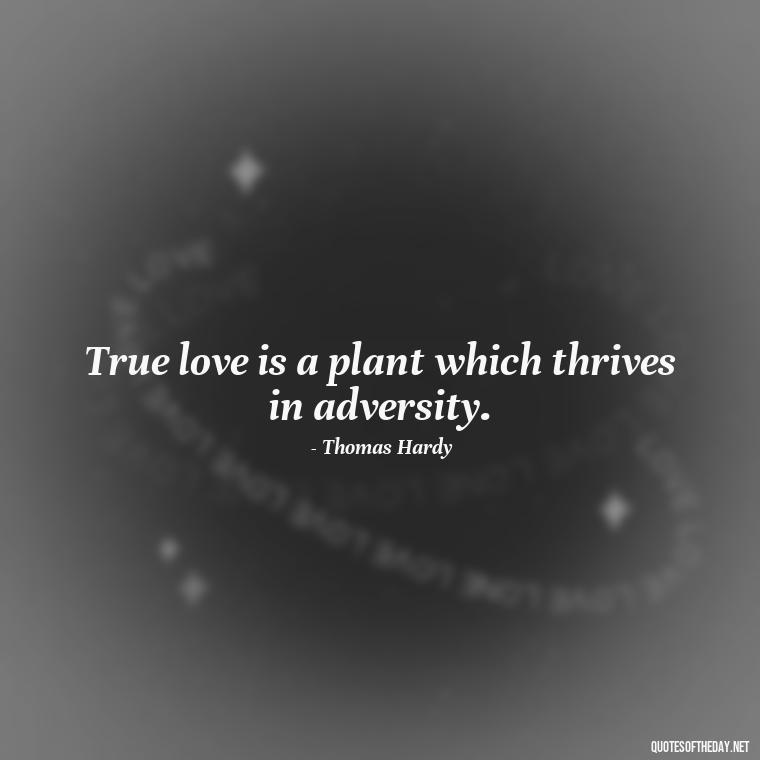 True love is a plant which thrives in adversity. - Love Is Rare Quotes