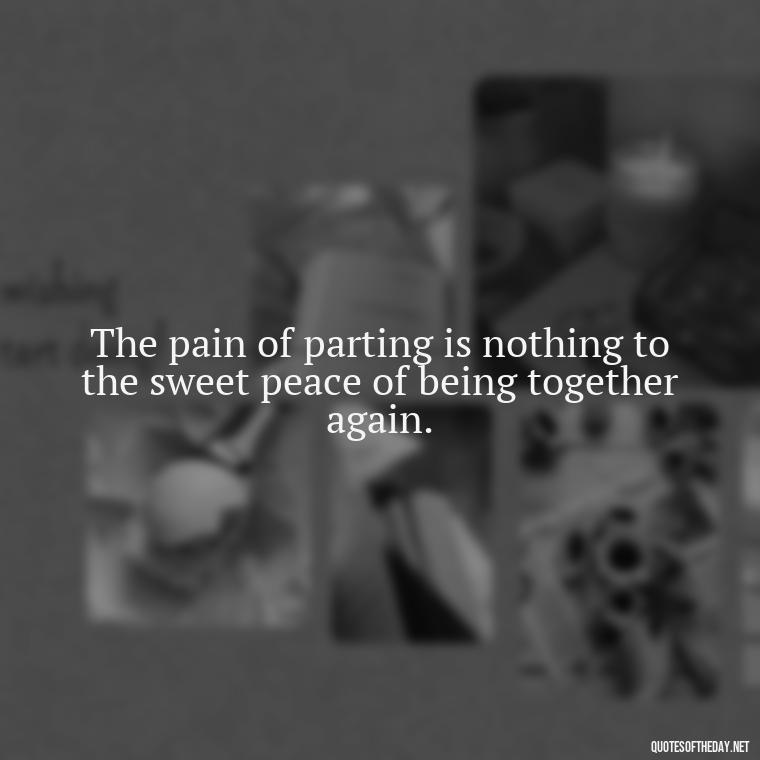 The pain of parting is nothing to the sweet peace of being together again. - Encouraging Quotes For Someone Who Lost A Loved One