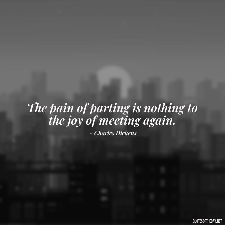 The pain of parting is nothing to the joy of meeting again. - Missing A Loved One Quotes