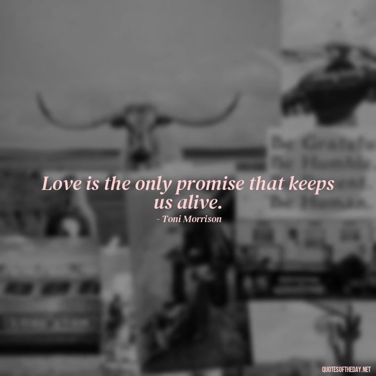 Love is the only promise that keeps us alive. - Quotes About Promises In Love